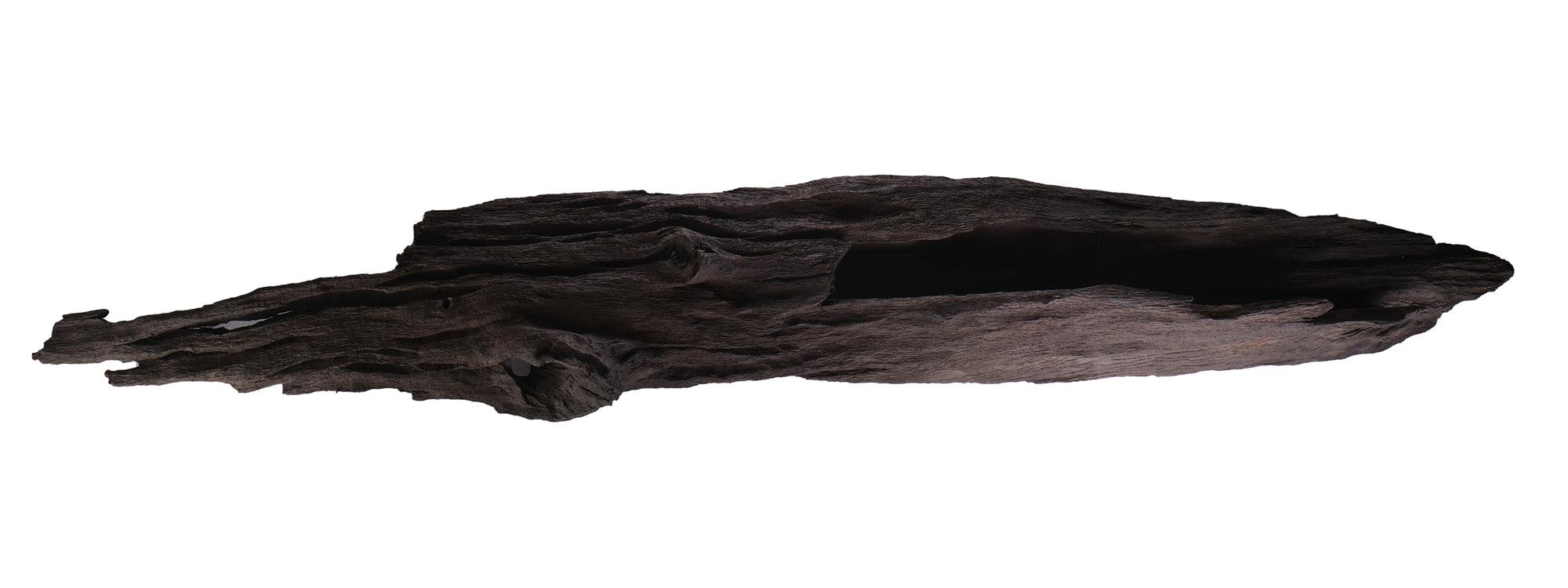 Collections header showing one fine raw piece of Bog Oak.